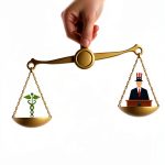 Health Safety Law eBook English Kindle Unlimited-0